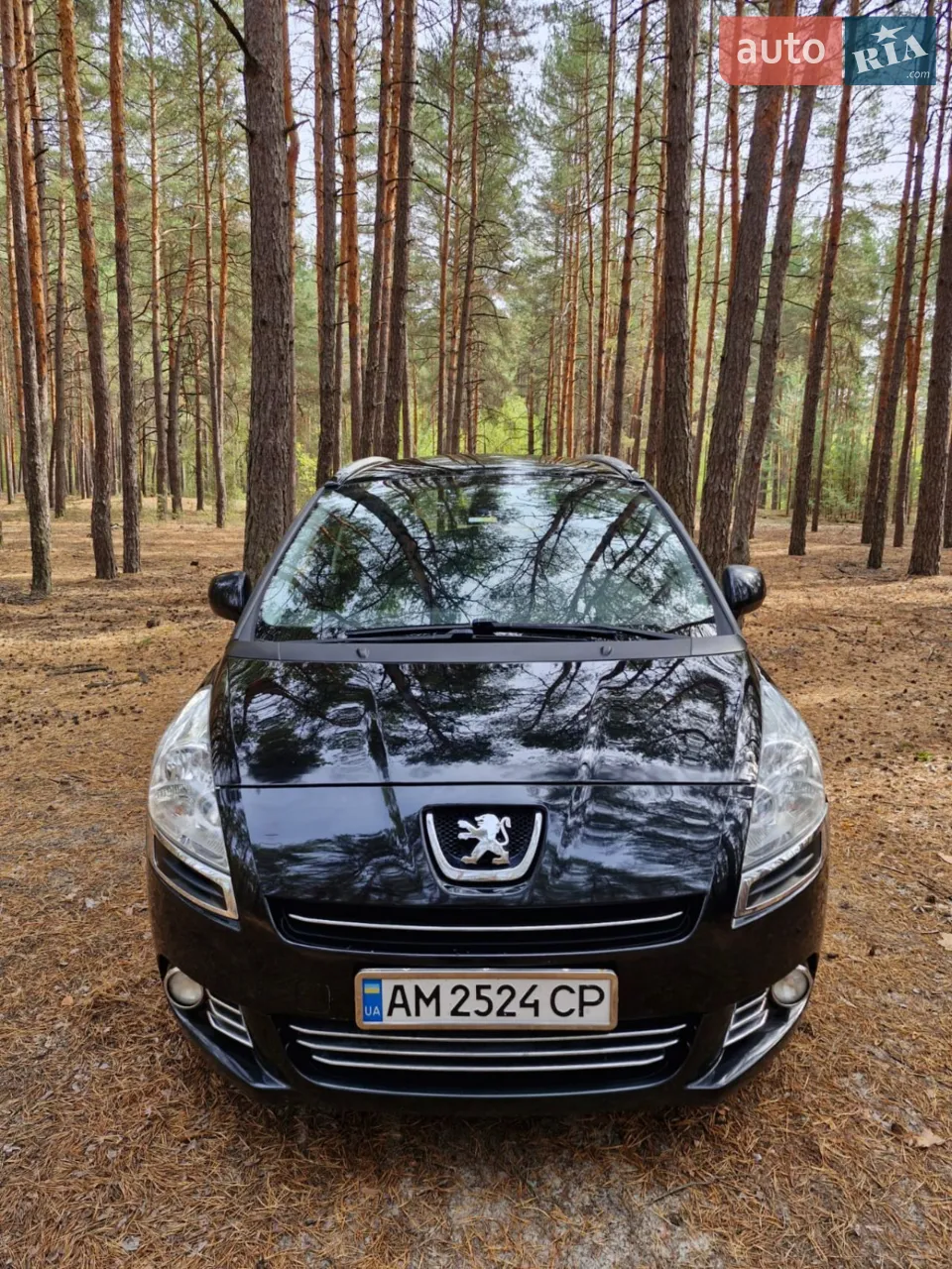 2011 Peugeot 5008 - мініатюра 14