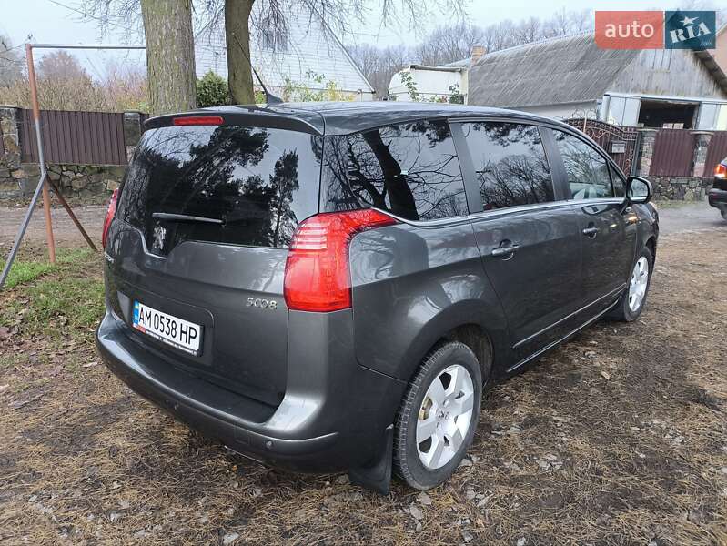 Микровэн Peugeot 5008 2009 в Звягеле