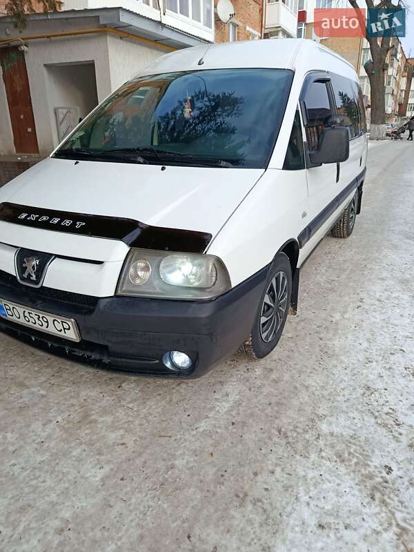 Мінівен Peugeot Boxer 2004 в Волочиську