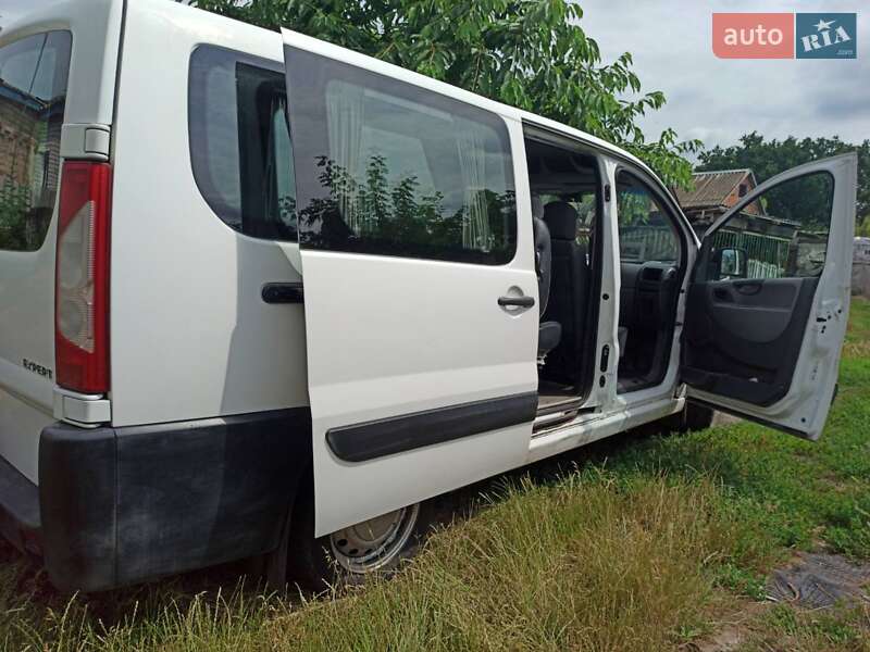 Мікроавтобус Peugeot Expert 2007 в Кагарлику