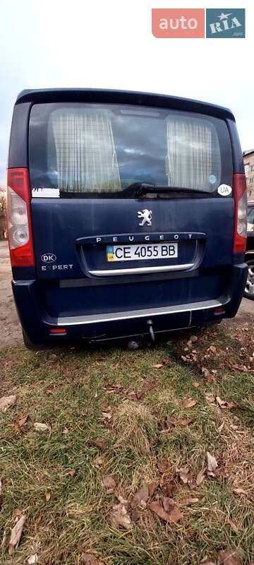 Мінівен Peugeot Expert 2007 в Чернівцях