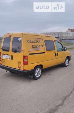 Минивэн Peugeot Expert 2002 в Коломые