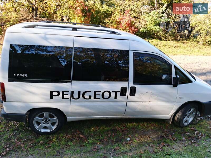 Мінівен Peugeot Expert 2002 в Жмеринці