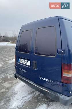 Вантажний фургон Peugeot Expert 1998 в Кременці