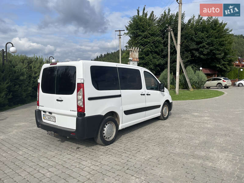 Минивэн Peugeot Expert 2009 в Самборе