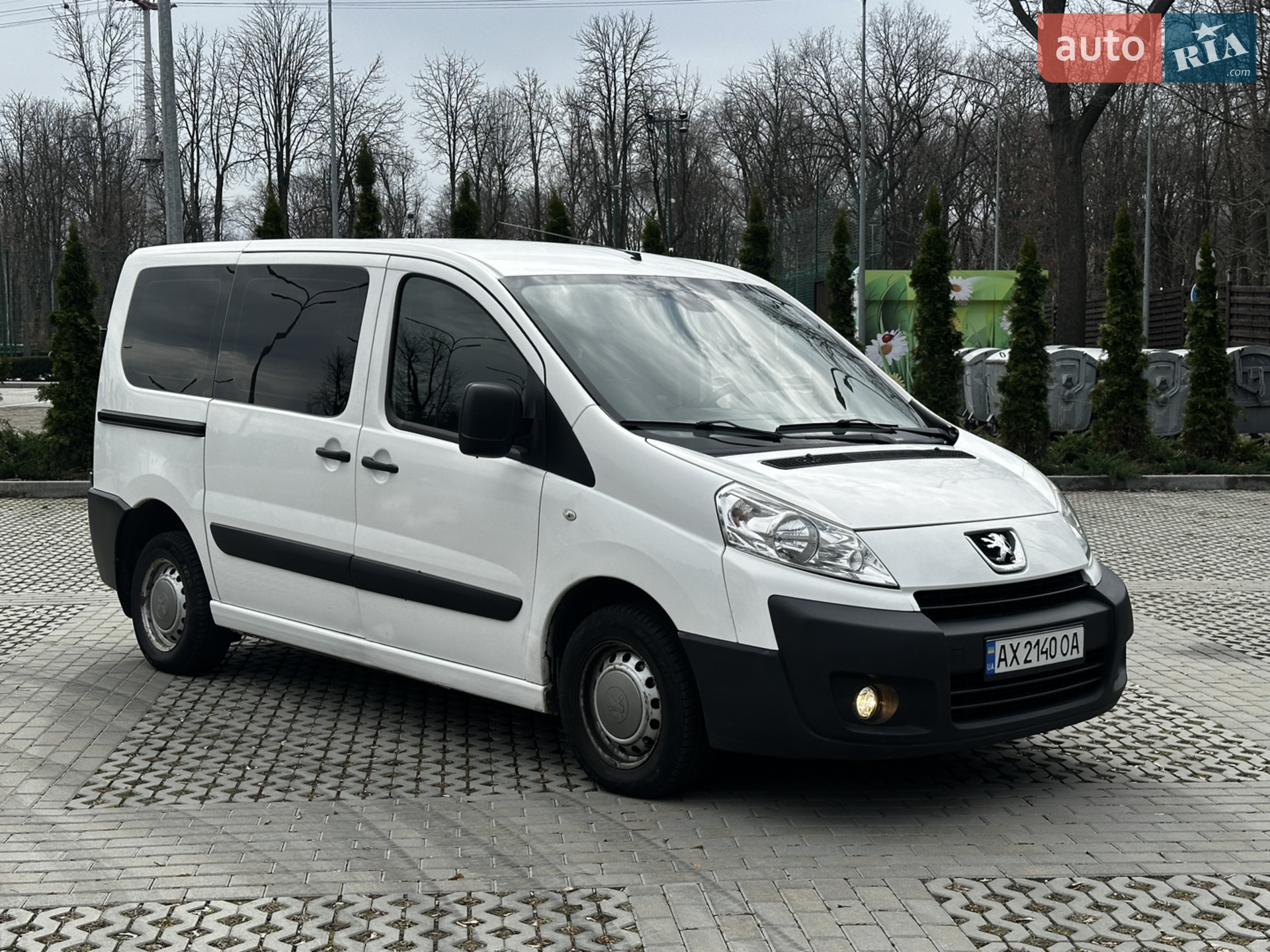 2010 Peugeot Expert - мініатюра 2