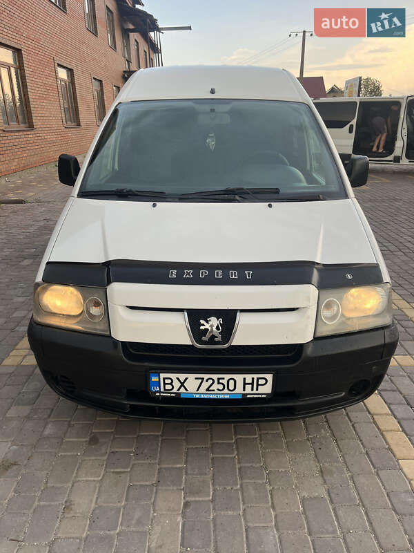Мінівен Peugeot Expert 2004 в Теофіполі
