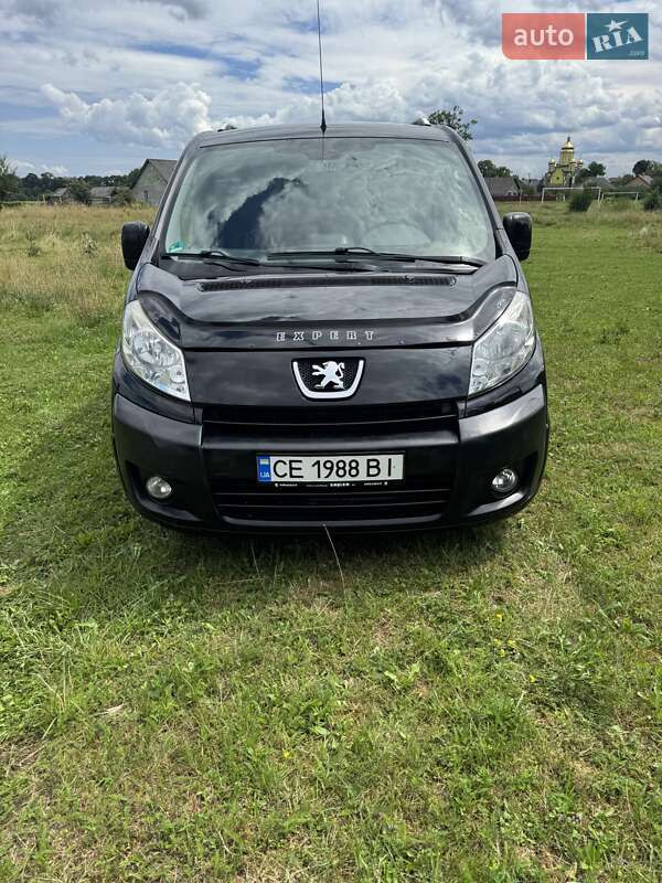 Минивэн Peugeot Expert 2007 в Сторожинце