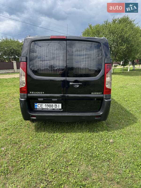 Минивэн Peugeot Expert 2007 в Сторожинце