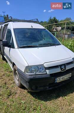 Грузовой фургон Peugeot Expert 2004 в Черновцах