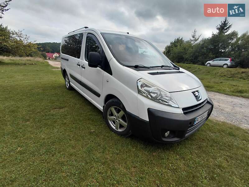 Минивэн Peugeot Expert 2009 в Трускавце