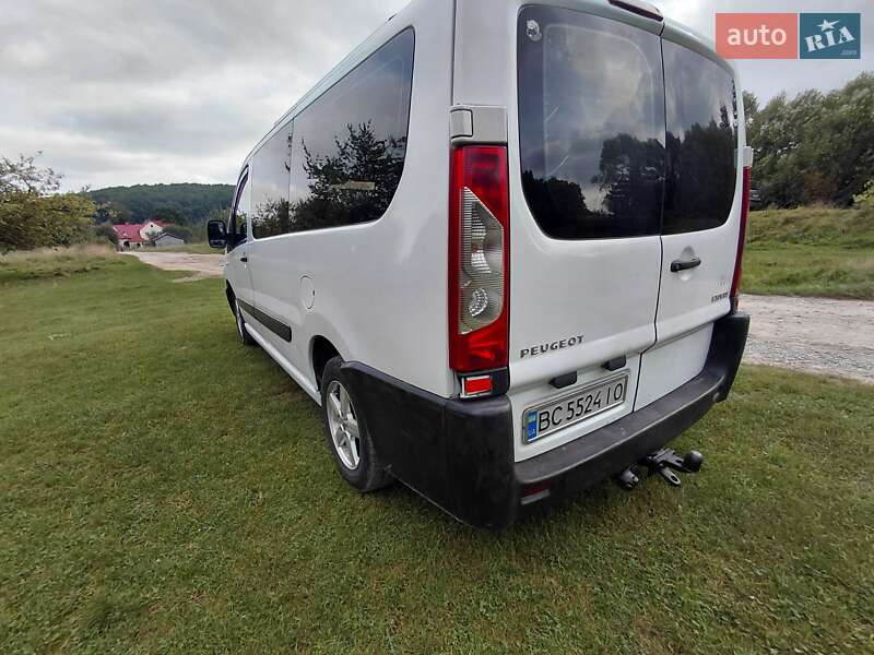 Минивэн Peugeot Expert 2009 в Трускавце