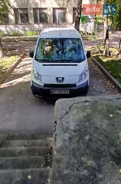 Мінівен Peugeot Expert 2009 в Ярмолинцях