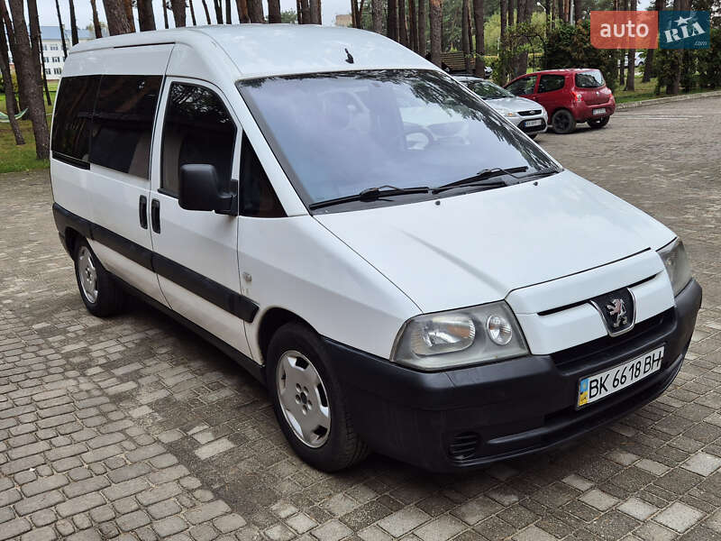 Мінівен Peugeot Expert 2005 в Славуті