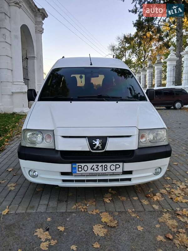 Минивэн Peugeot Expert 2005 в Кременце