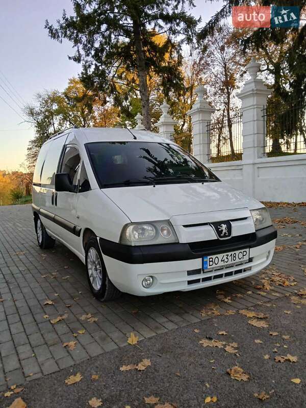 Минивэн Peugeot Expert 2005 в Кременце