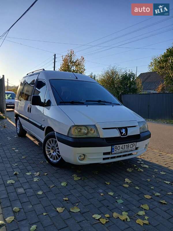 Минивэн Peugeot Expert 2005 в Кременце