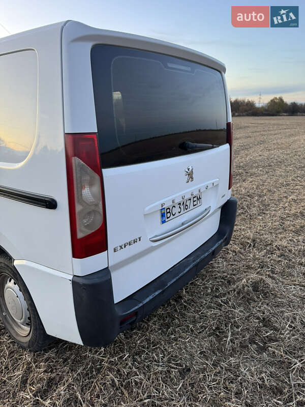 Мінівен Peugeot Expert 2009 в Жидачові