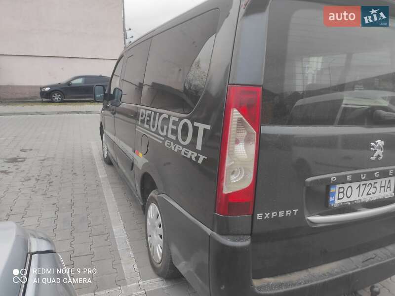 Минивэн Peugeot Expert 2008 в Теребовле фото 3 Минивэн Peugeot Expert 2008 в Теребовле