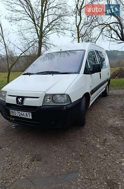 Минивэн Peugeot Expert 2006 в Лановцах