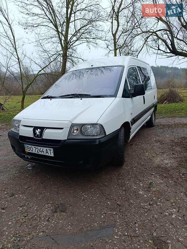 Минивэн Peugeot Expert 2006 в Лановцах