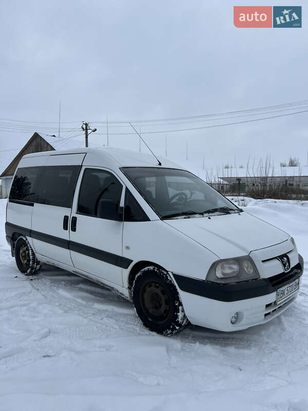 Минивэн Peugeot Expert 2006 в Клевани