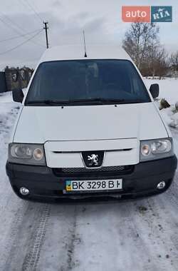 Мінівен Peugeot Expert 2006 в Костопілі