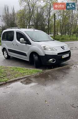 Минивэн Peugeot Partner 2010 в Кривом Роге