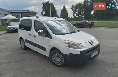 Минивэн Peugeot Partner 2009 в Самборе