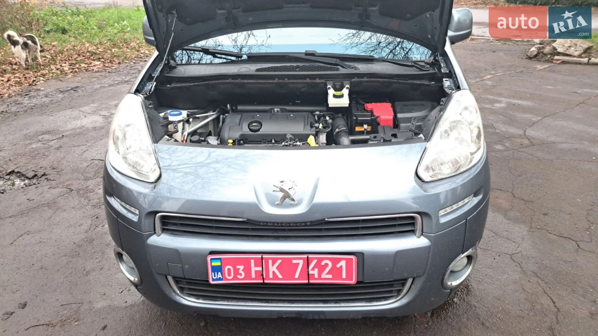2012 Peugeot Partner - мініатюра 25