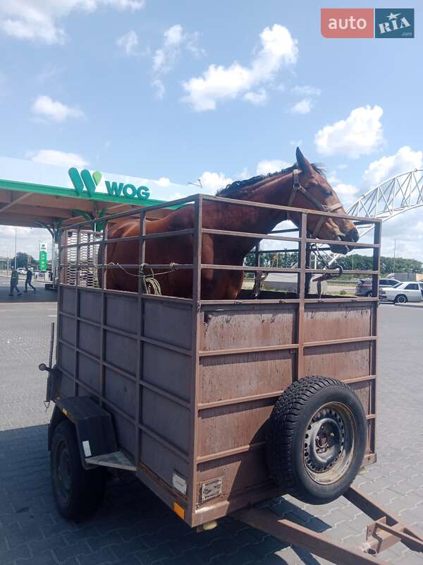 Для перевезення тварин - прицеп ПГМФ 8304 2016 в Житомирі