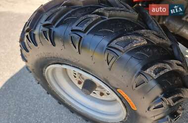 Квадроцикл утилітарний Polaris Sportsman 2009 в 