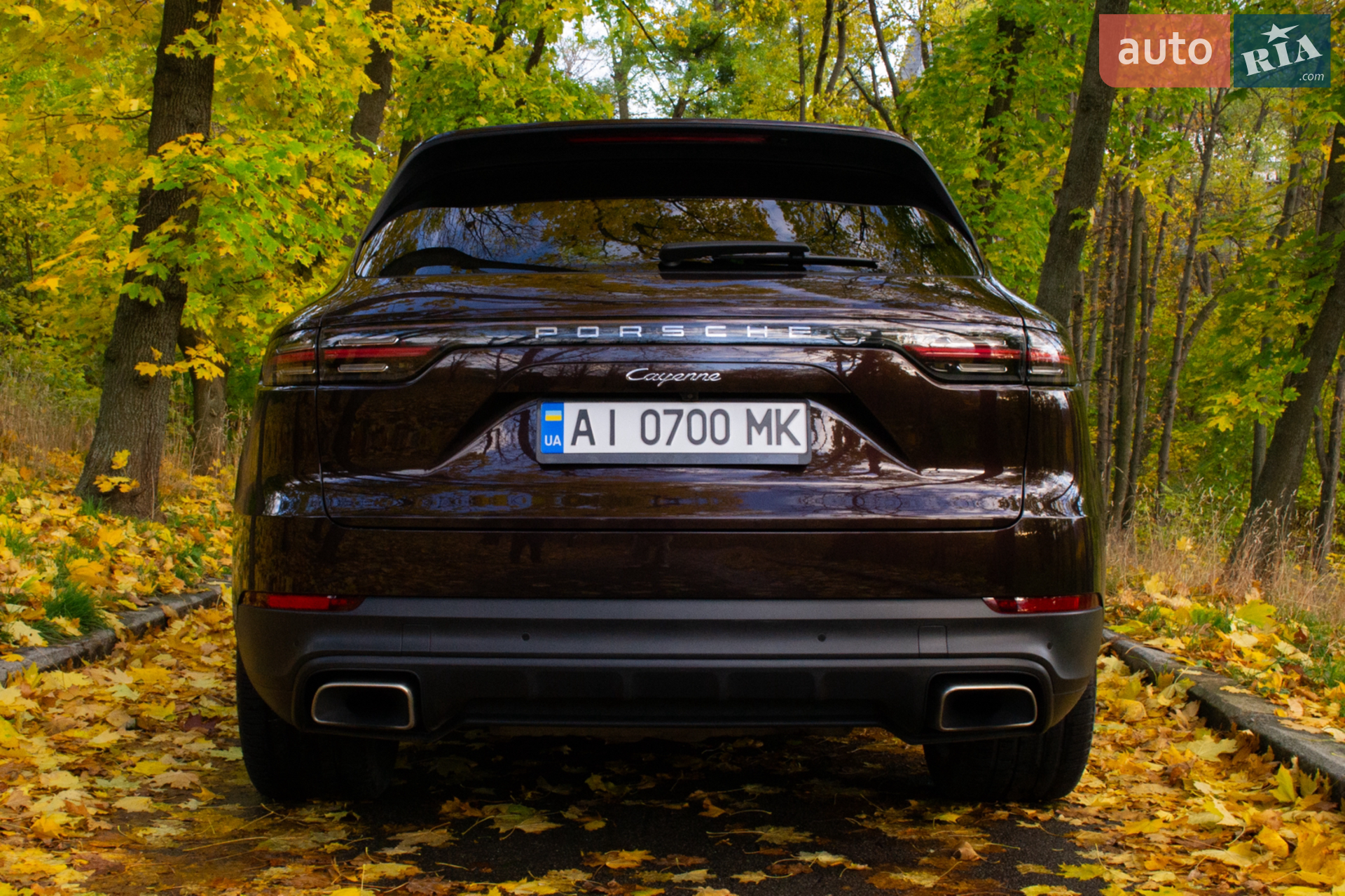 2018 Porsche Cayenne - мініатюра 10