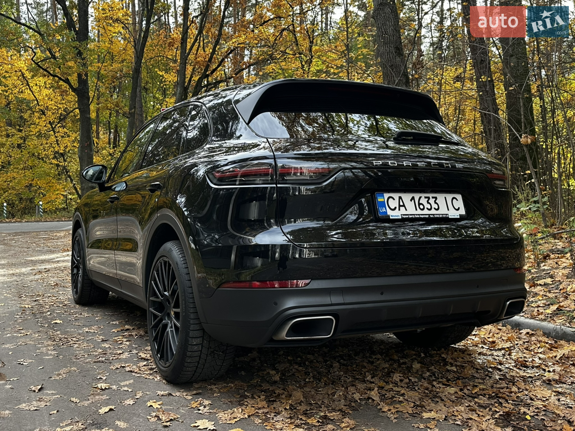 2019 Porsche Cayenne - мініатюра 6
