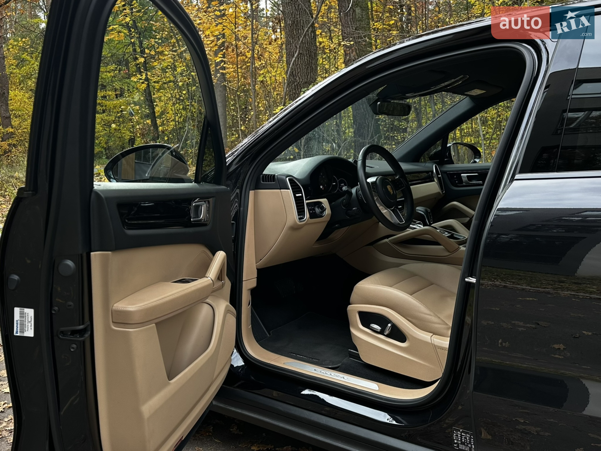 2019 Porsche Cayenne - мініатюра 18