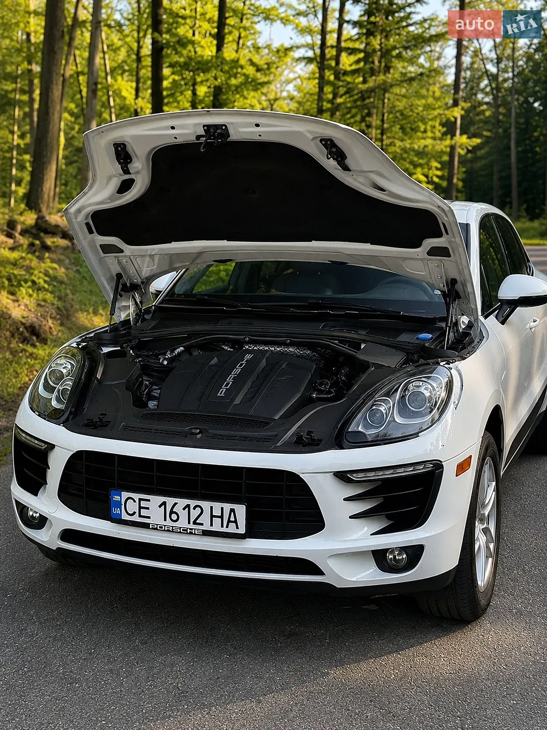 2016 Porsche Macan - мініатюра 6