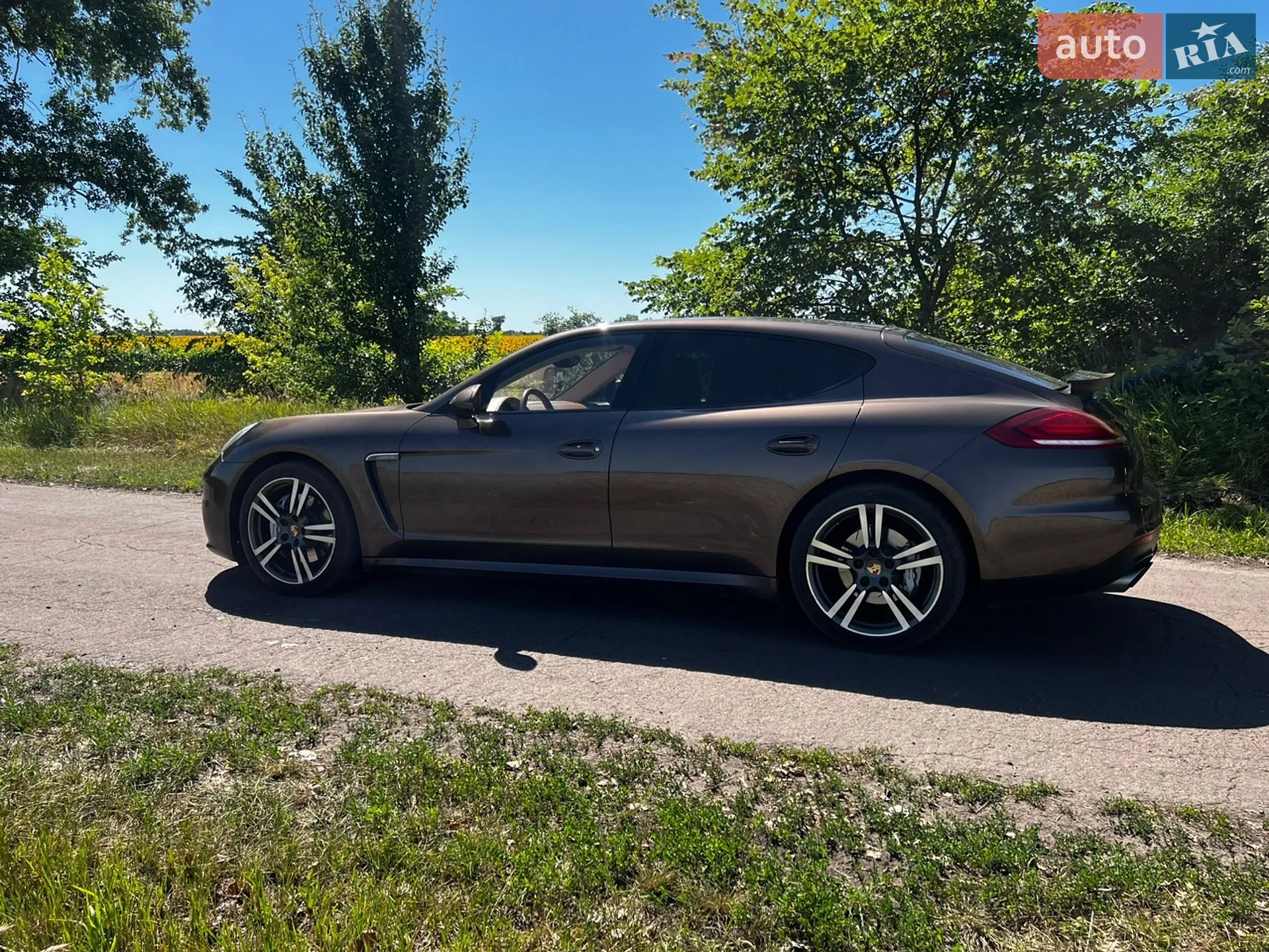 2014 Porsche Panamera - мініатюра 8