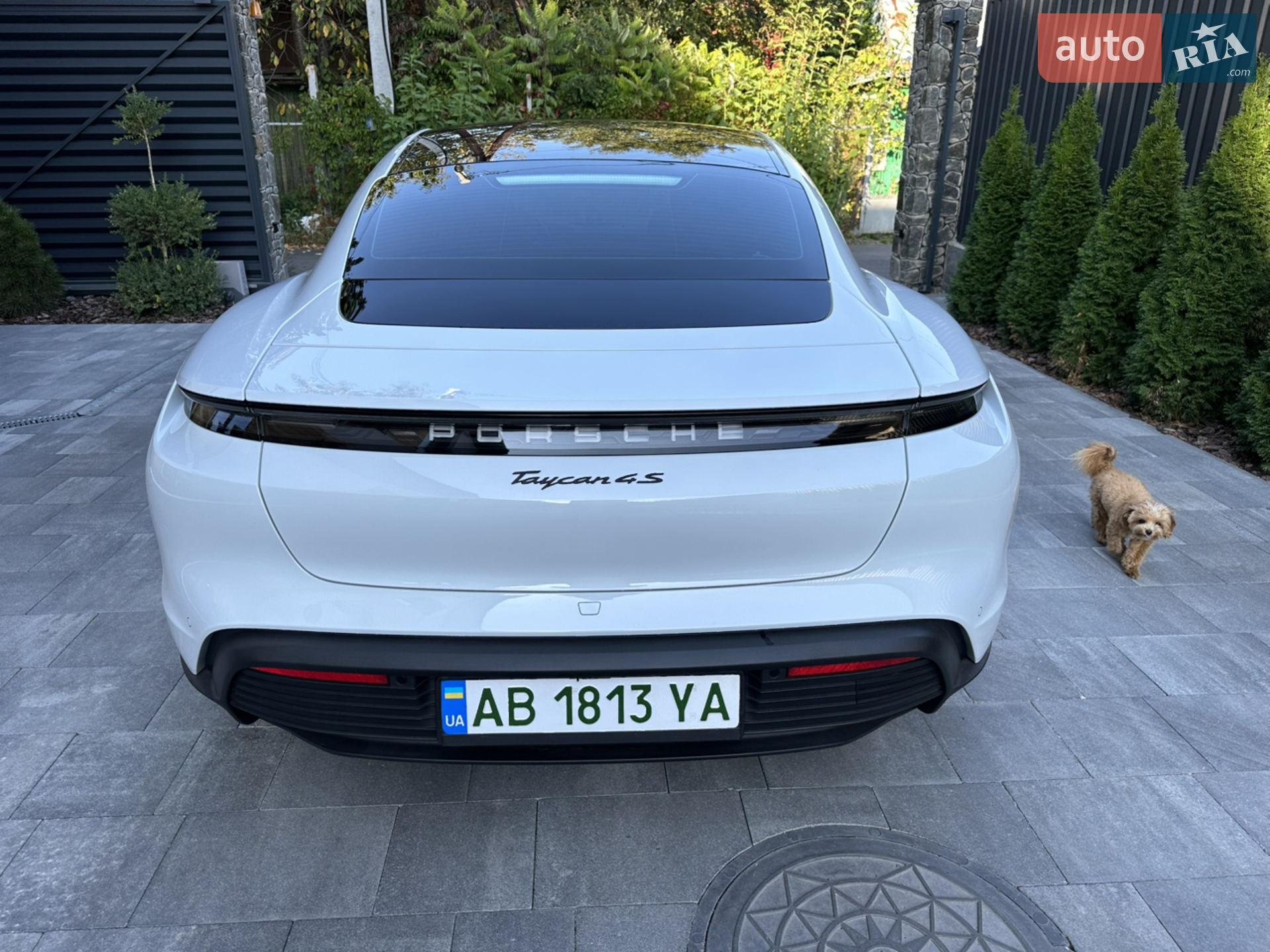 2020 Porsche Taycan - мініатюра 6