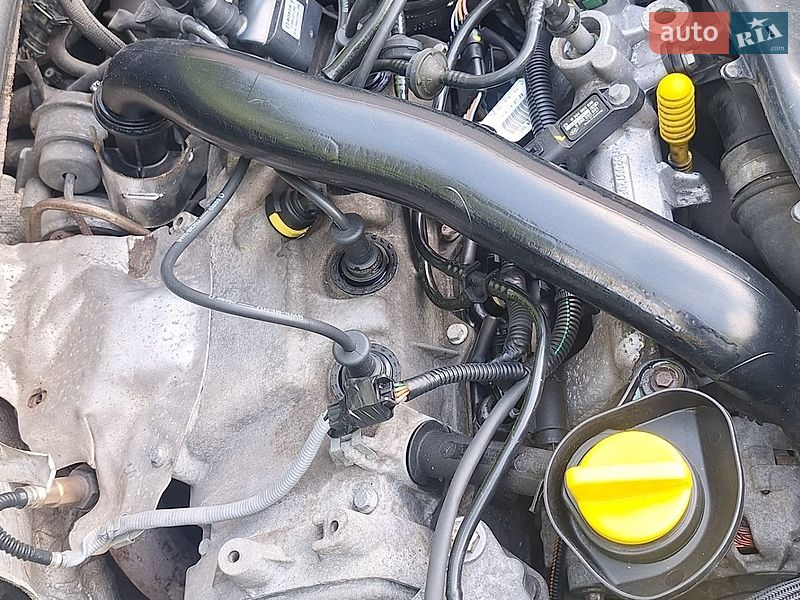 Хэтчбек Renault Clio 2009 в Белой Церкви