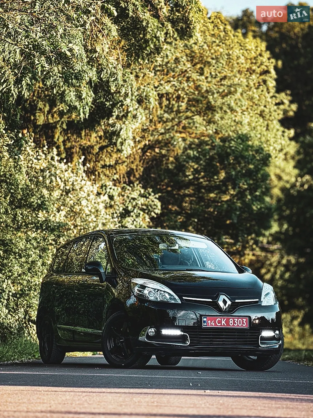 2013 Renault Scenic - мініатюра 11