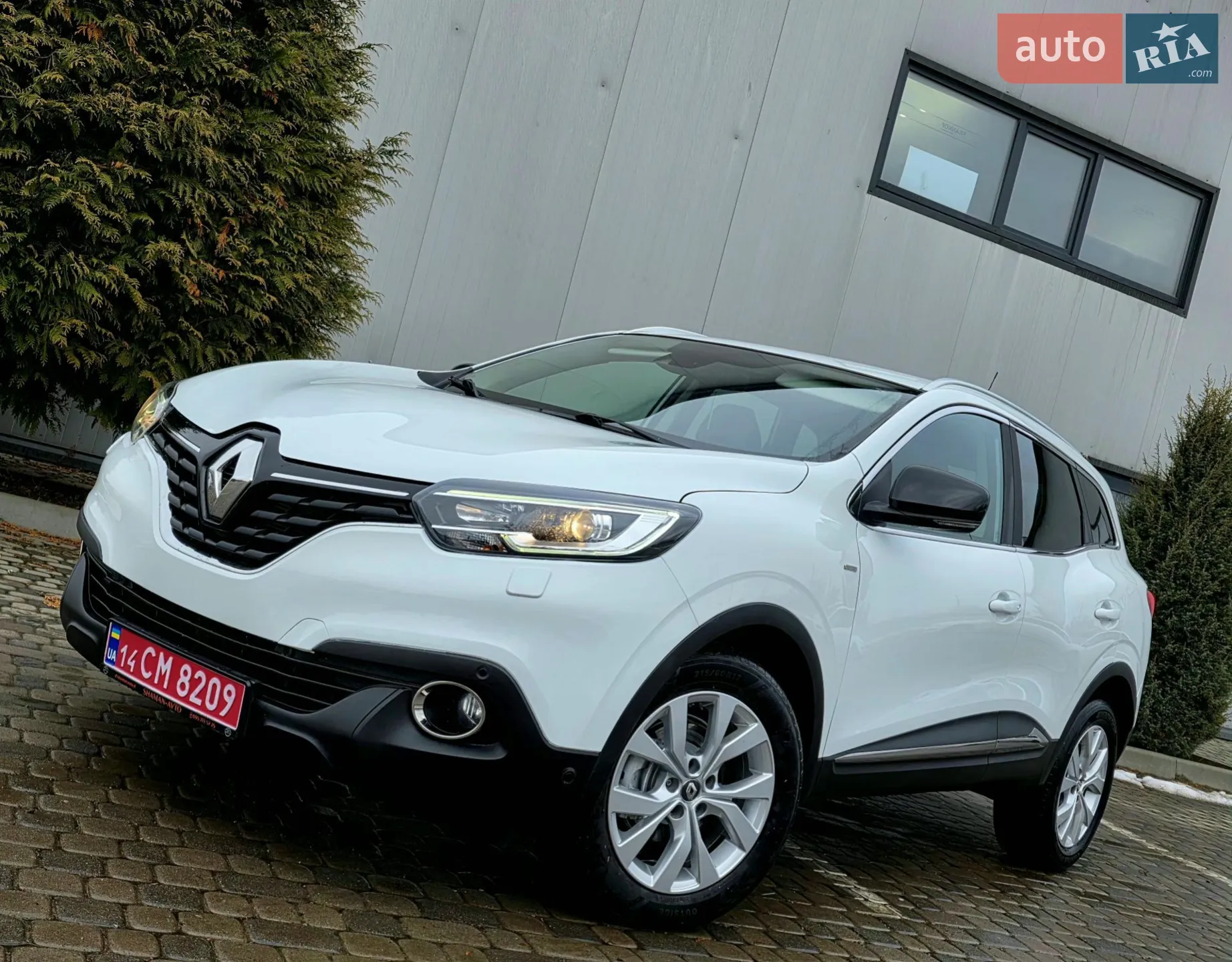 2019 Renault Kadjar - мініатюра 9