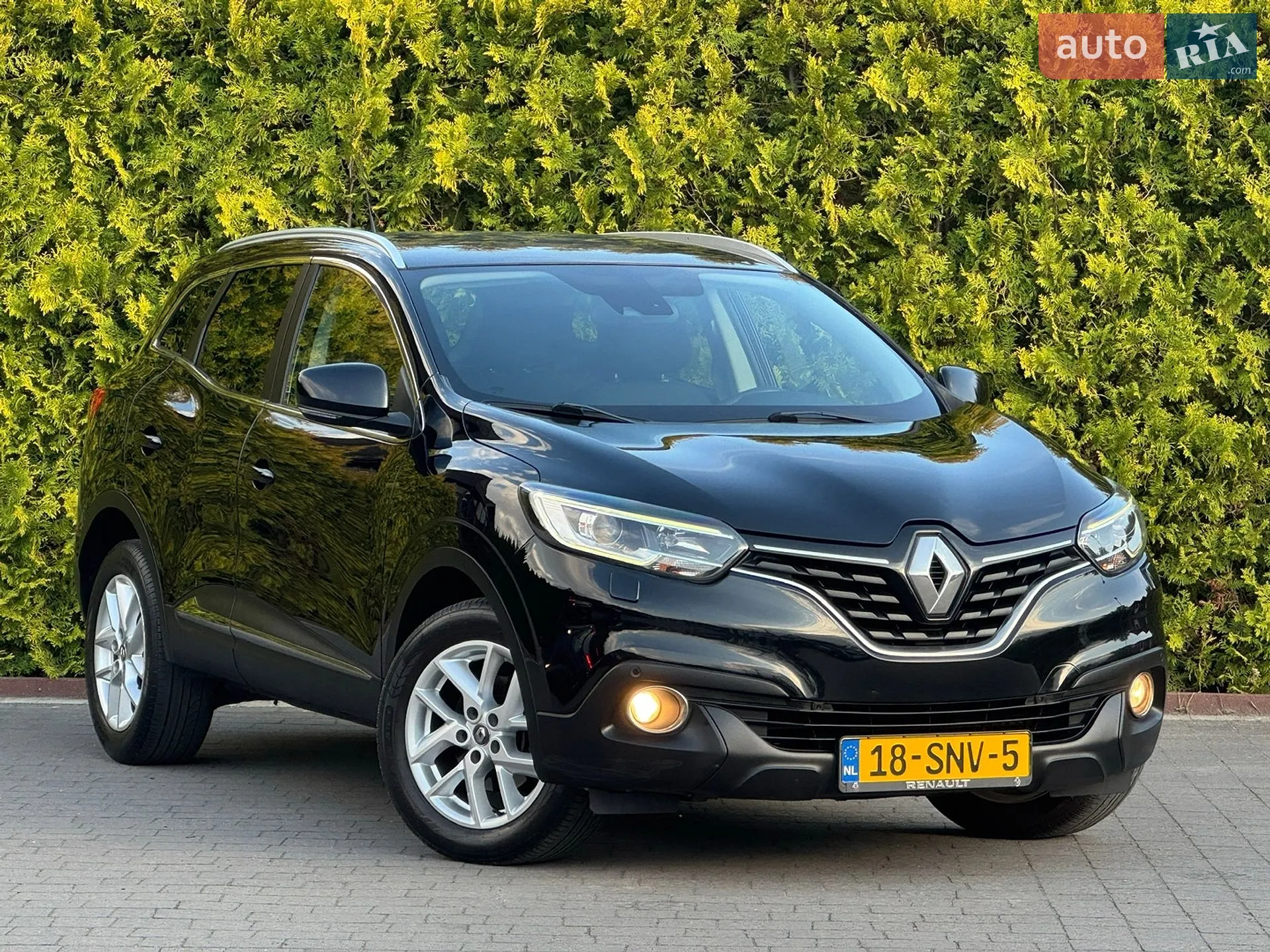 2018 Renault Kadjar - фото 1
