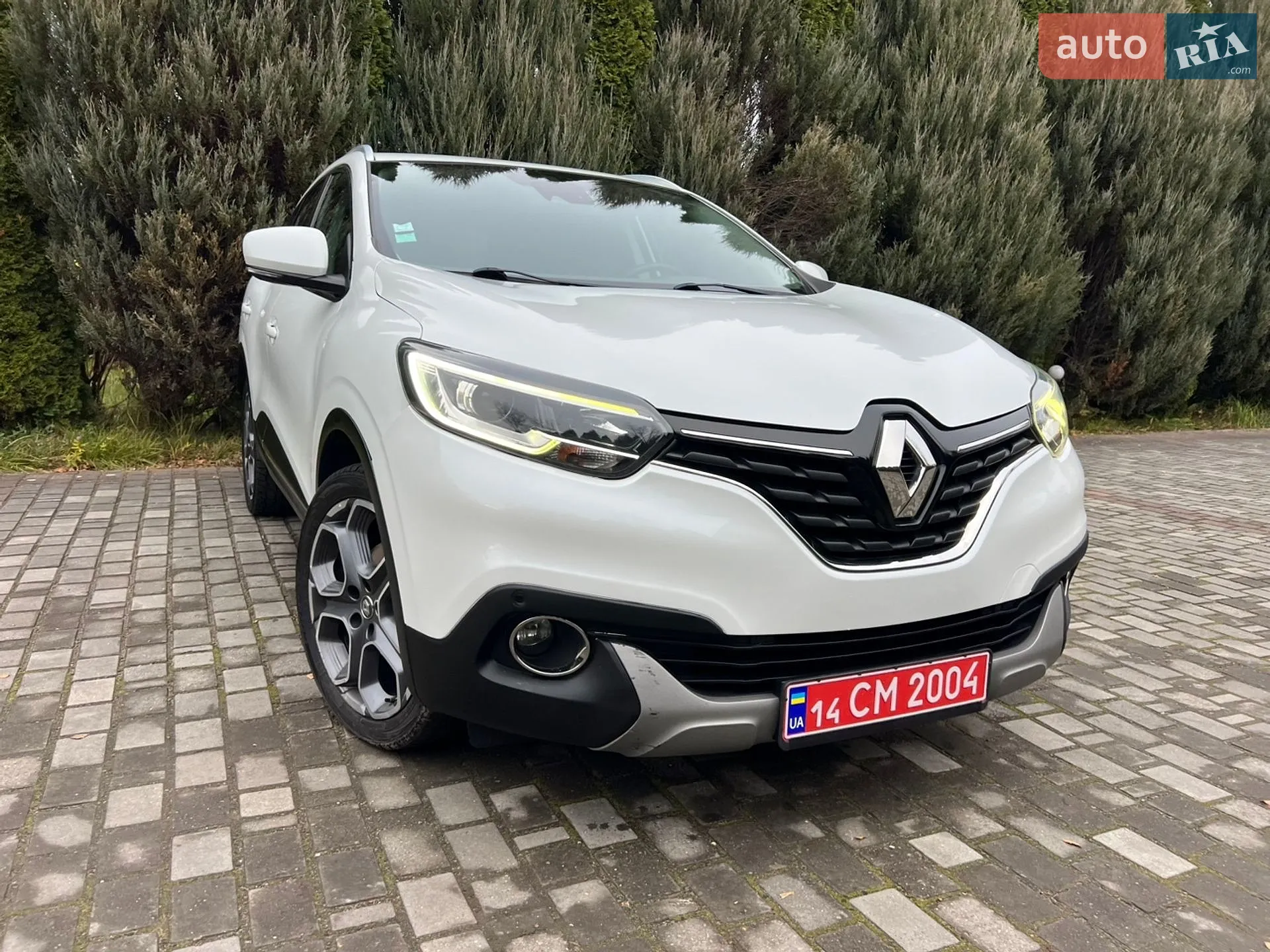 2015 Renault Kadjar - мініатюра 5