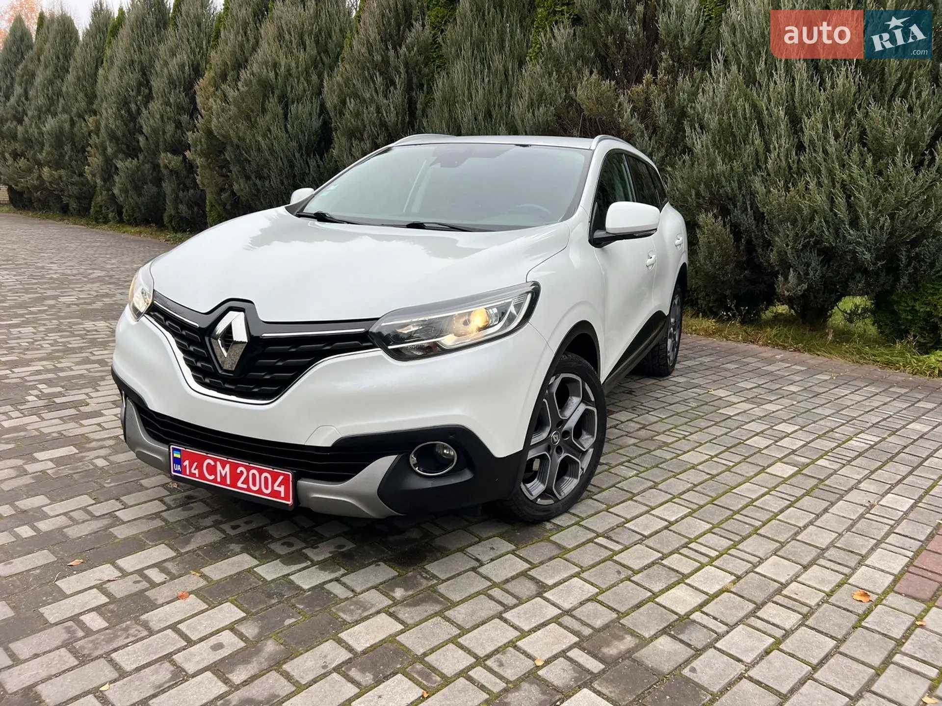 2015 Renault Kadjar - мініатюра 113