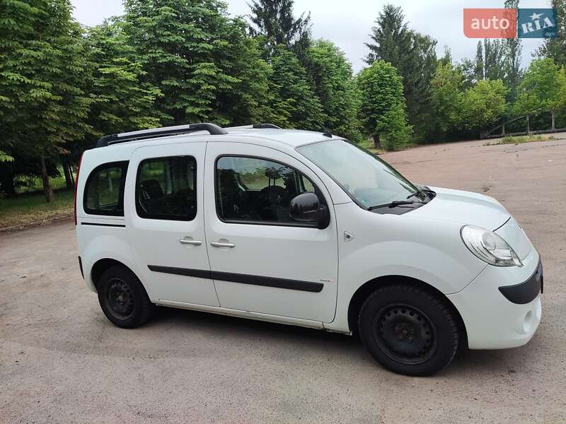 Мінівен Renault Kangoo 2013 в Житомирі
