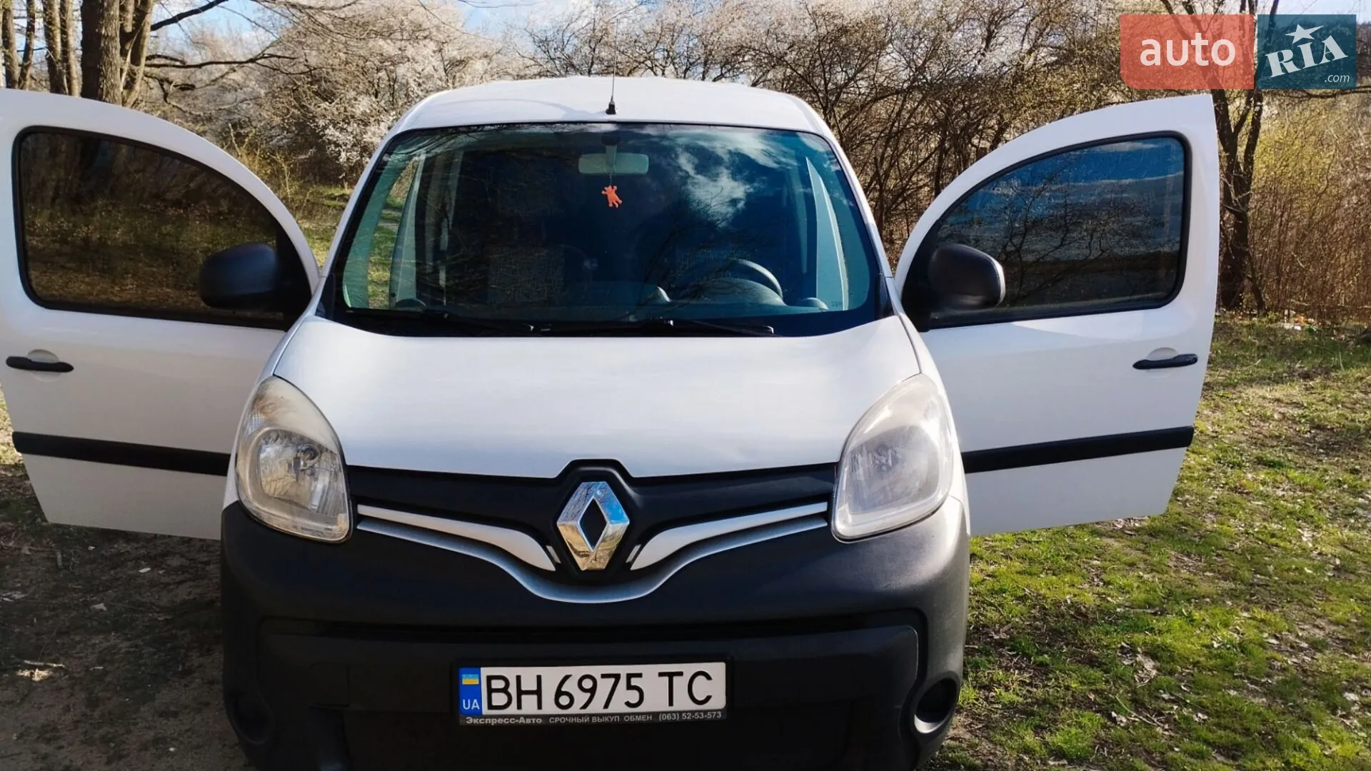 2016 Renault Kangoo - мініатюра 12