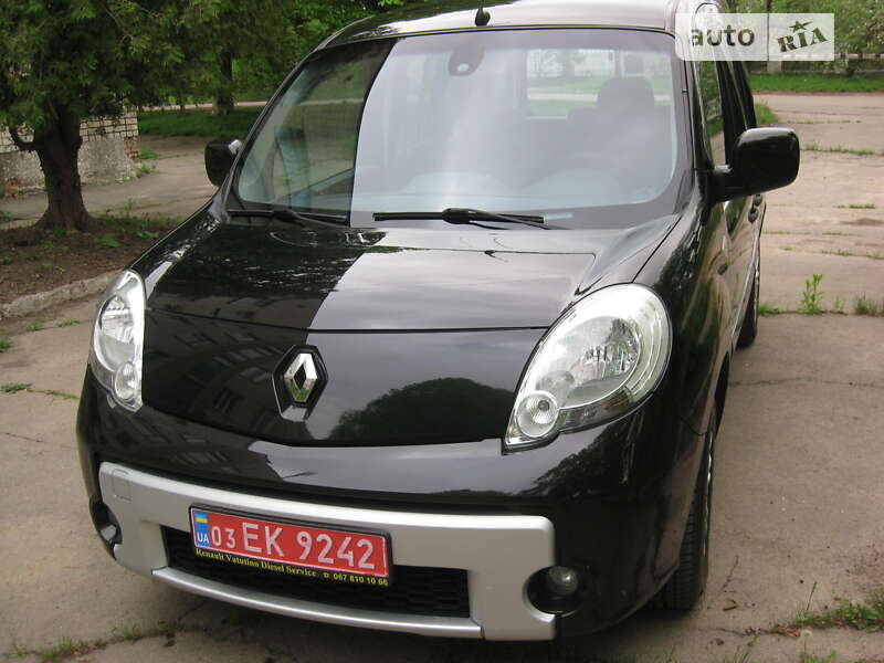 Минивэн Renault Kangoo 2009 в Звенигородке