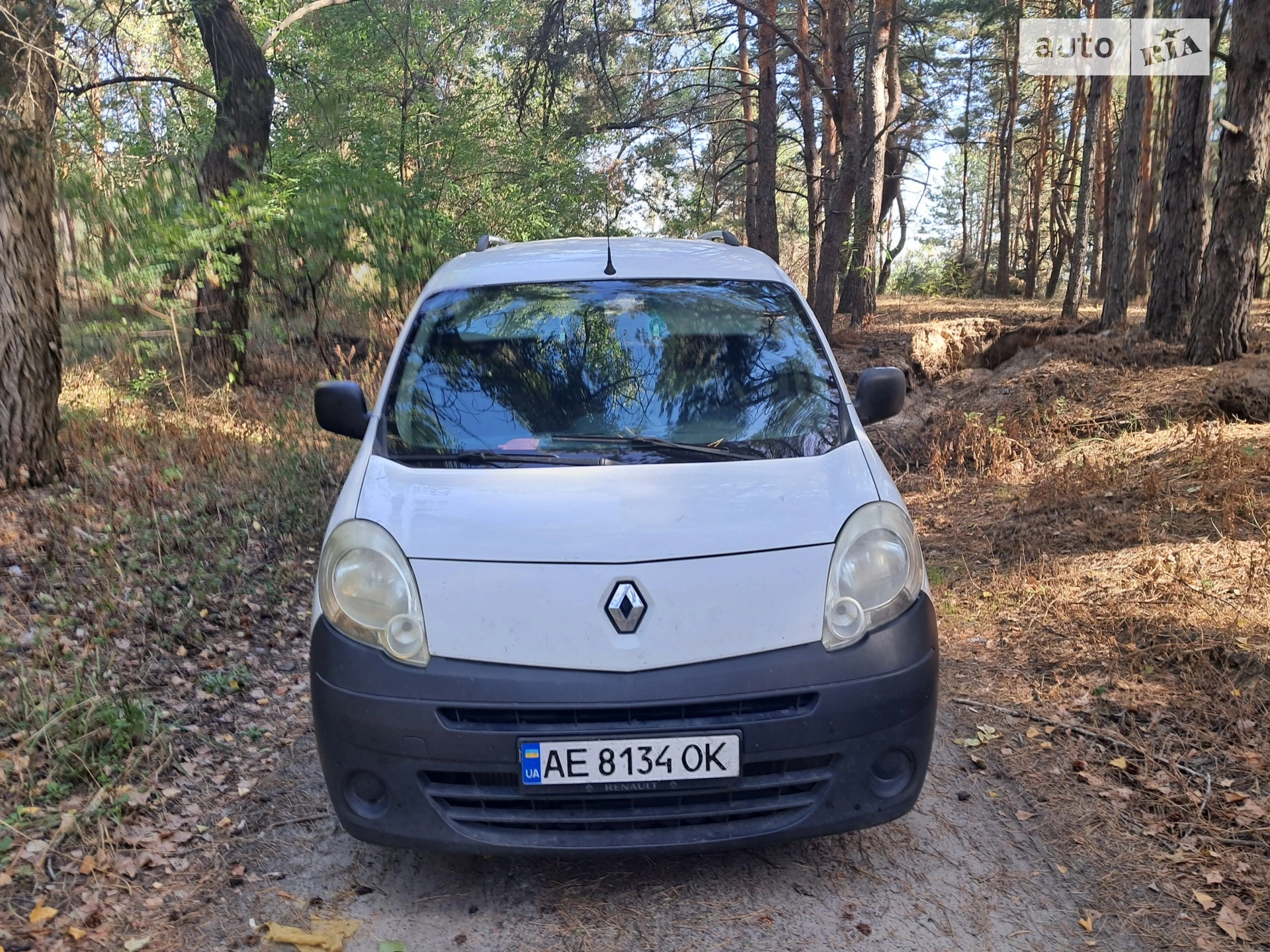 2010 Renault Kangoo - мініатюра 15