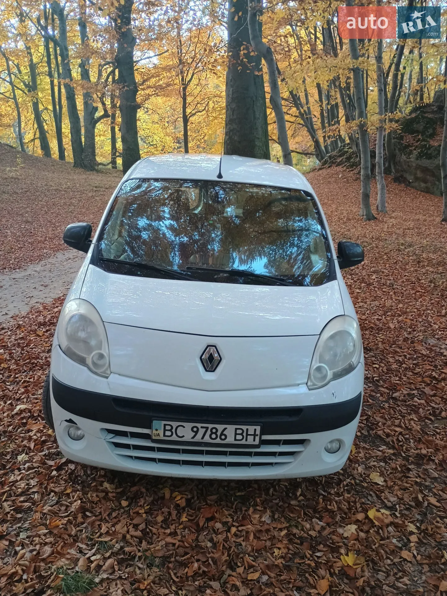 2013 Renault Kangoo - мініатюра 22