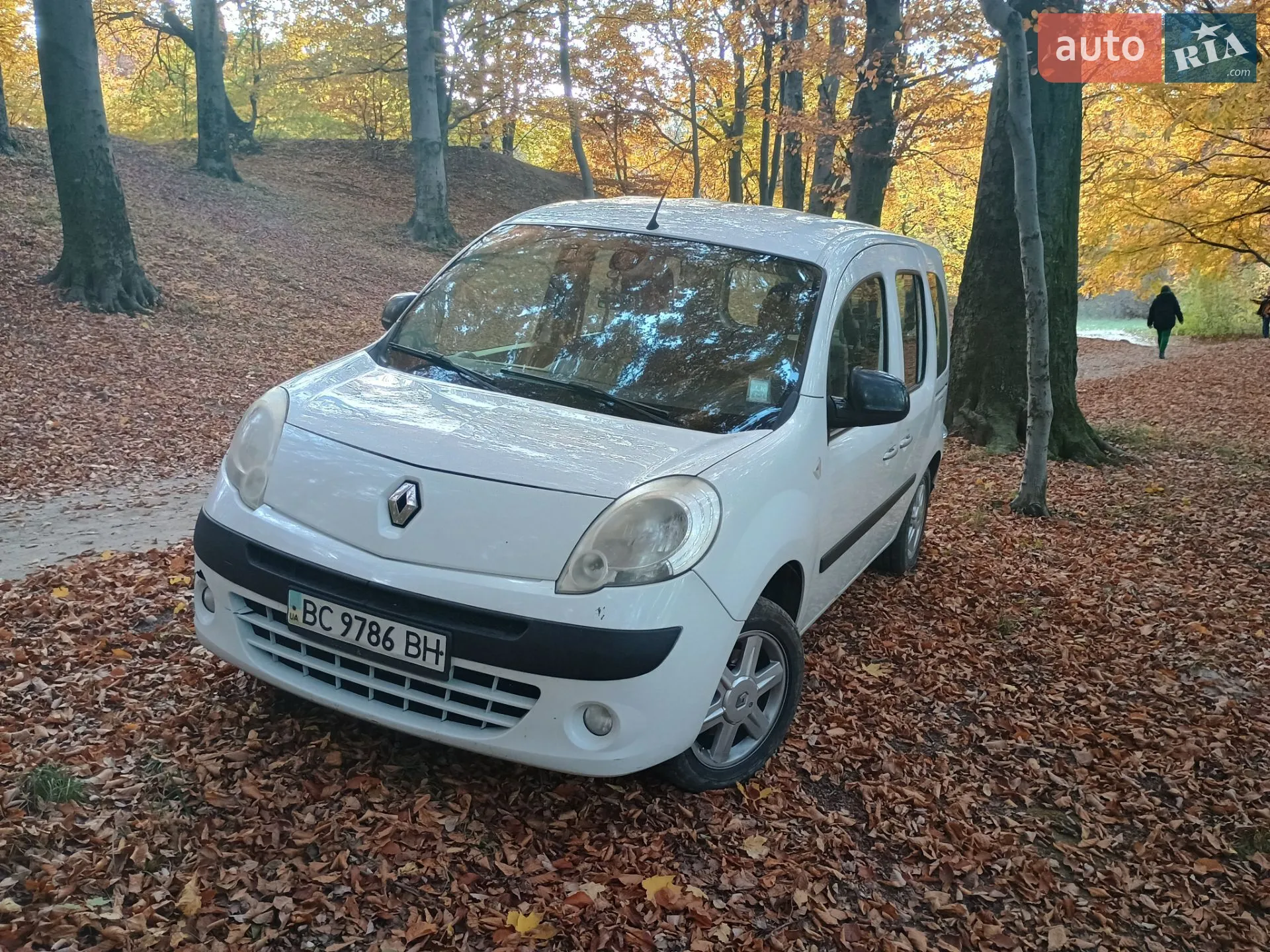 2013 Renault Kangoo - мініатюра 21